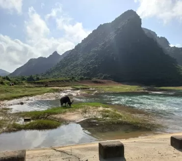 Phong nha ke bang